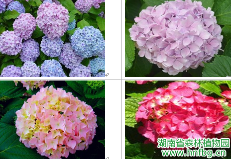 AG旗舰厅(中国游)官方网站