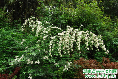 AG旗舰厅(中国游)官方网站
