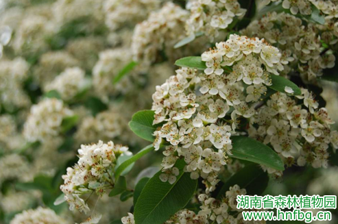 AG旗舰厅(中国游)官方网站