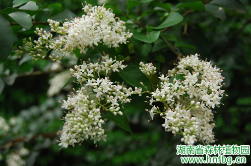 AG旗舰厅(中国游)官方网站