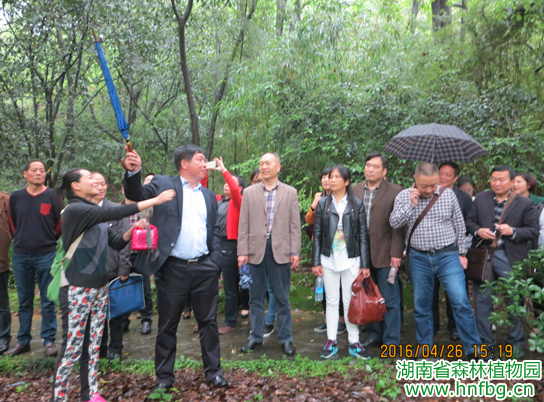 AG旗舰厅(中国游)官方网站