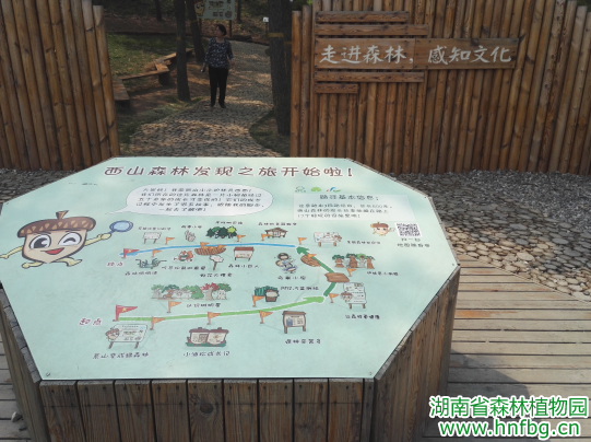 AG旗舰厅(中国游)官方网站