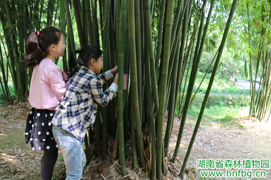 AG旗舰厅(中国游)官方网站