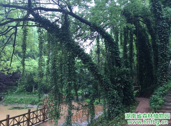 AG旗舰厅(中国游)官方网站