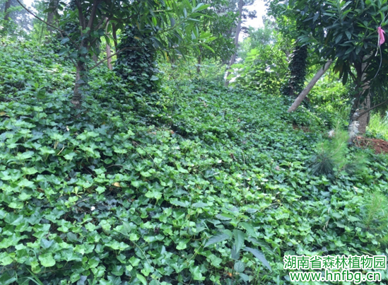 AG旗舰厅(中国游)官方网站
