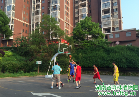 AG旗舰厅(中国游)官方网站