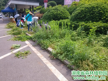 AG旗舰厅(中国游)官方网站