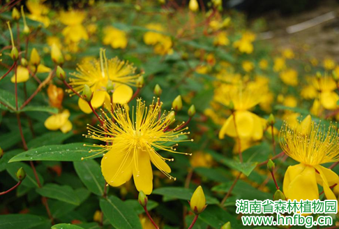 AG旗舰厅(中国游)官方网站