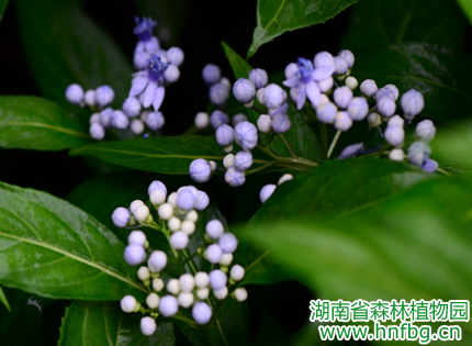 AG旗舰厅(中国游)官方网站