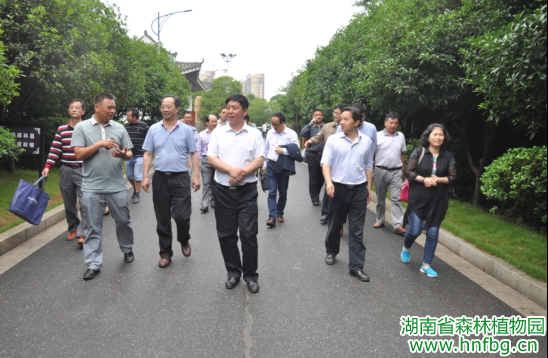 AG旗舰厅(中国游)官方网站