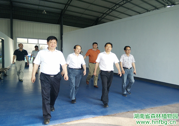 AG旗舰厅(中国游)官方网站