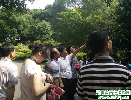 AG旗舰厅(中国游)官方网站