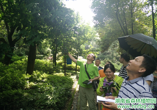 AG旗舰厅(中国游)官方网站