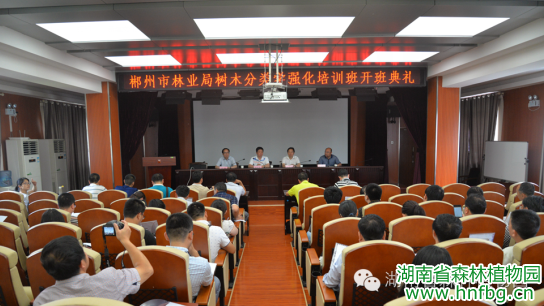 AG旗舰厅(中国游)官方网站