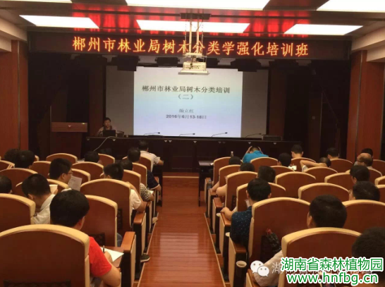 AG旗舰厅(中国游)官方网站