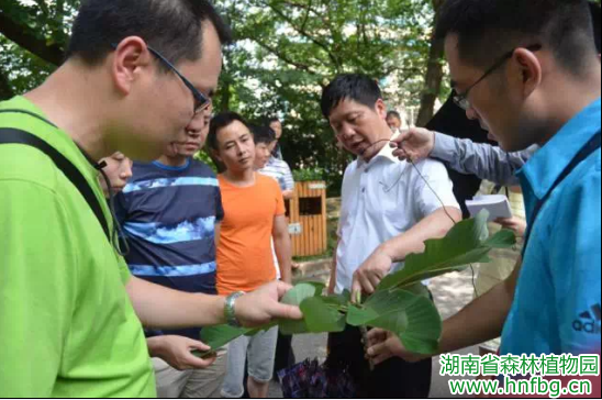 AG旗舰厅(中国游)官方网站