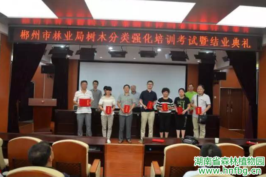 AG旗舰厅(中国游)官方网站