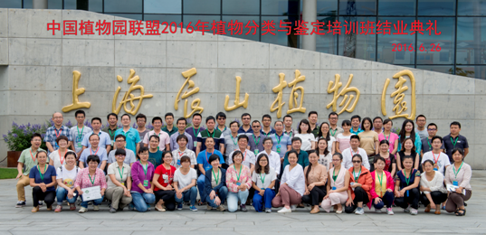AG旗舰厅(中国游)官方网站