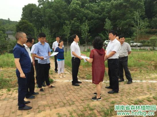 AG旗舰厅(中国游)官方网站