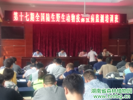 AG旗舰厅(中国游)官方网站