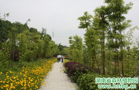 AG旗舰厅(中国游)官方网站