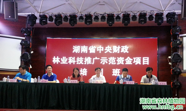 AG旗舰厅(中国游)官方网站