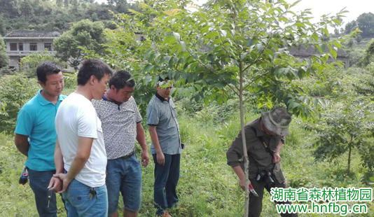 AG旗舰厅(中国游)官方网站