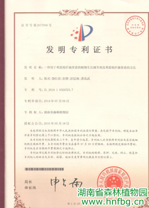 AG旗舰厅(中国游)官方网站
