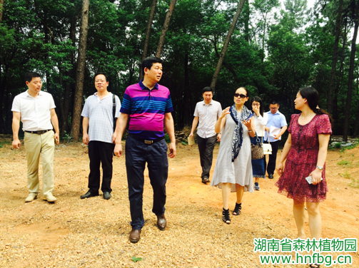 AG旗舰厅(中国游)官方网站