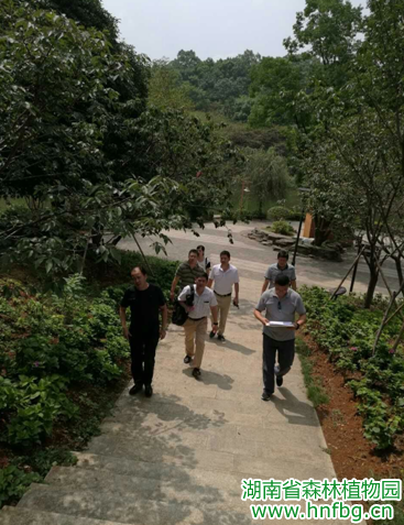 AG旗舰厅(中国游)官方网站