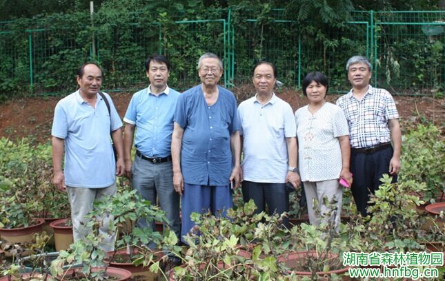 AG旗舰厅(中国游)官方网站