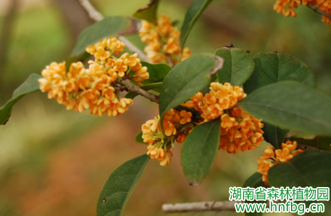 AG旗舰厅(中国游)官方网站