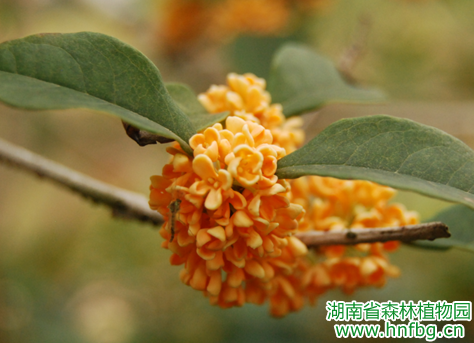 AG旗舰厅(中国游)官方网站