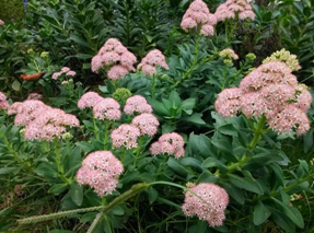 AG旗舰厅(中国游)官方网站