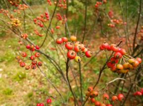 AG旗舰厅(中国游)官方网站