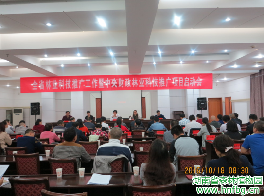 AG旗舰厅(中国游)官方网站