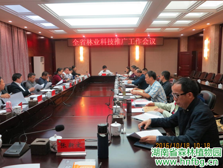 AG旗舰厅(中国游)官方网站