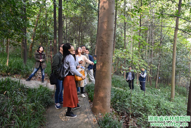 AG旗舰厅(中国游)官方网站