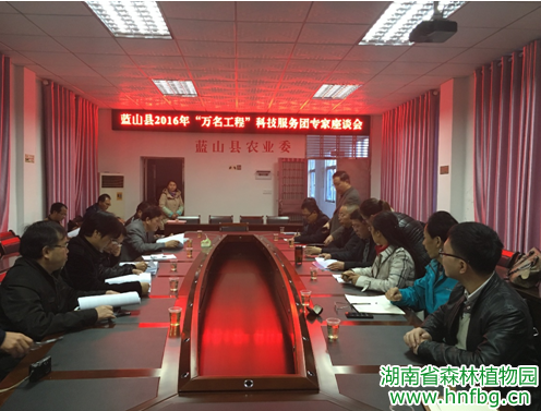 AG旗舰厅(中国游)官方网站