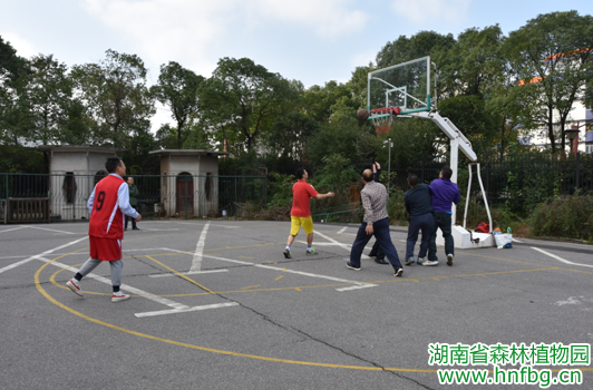 AG旗舰厅(中国游)官方网站