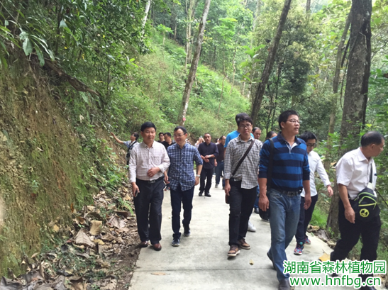 AG旗舰厅(中国游)官方网站