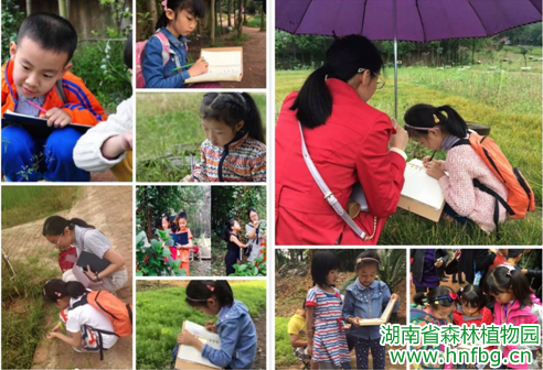 AG旗舰厅(中国游)官方网站