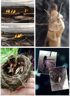 AG旗舰厅(中国游)官方网站