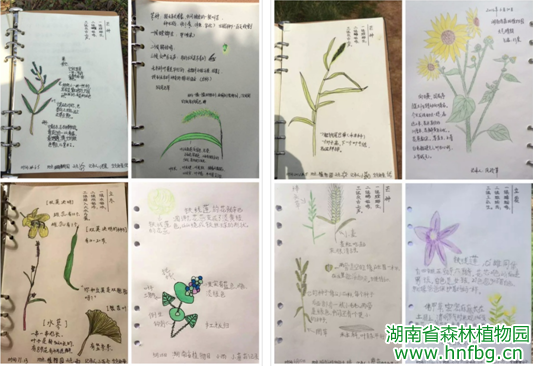 AG旗舰厅(中国游)官方网站