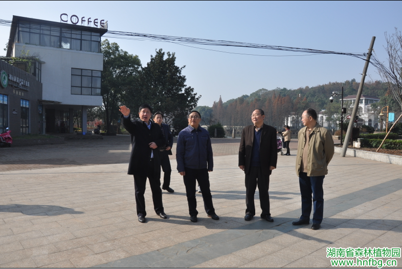 AG旗舰厅(中国游)官方网站