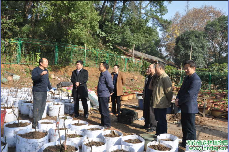 AG旗舰厅(中国游)官方网站