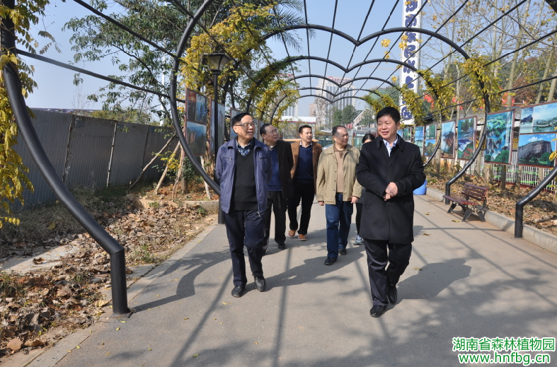 AG旗舰厅(中国游)官方网站