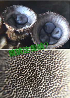 AG旗舰厅(中国游)官方网站