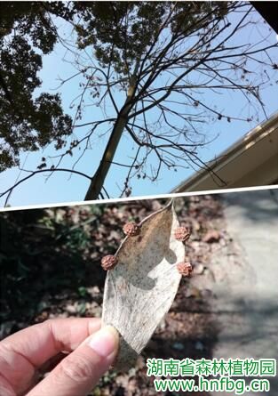 AG旗舰厅(中国游)官方网站