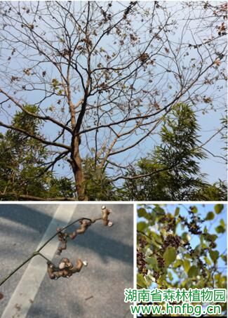 AG旗舰厅(中国游)官方网站